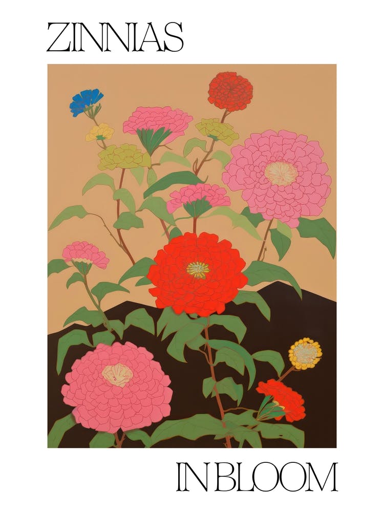 Zinnias In Bloom Flowers Bold Illustration 3