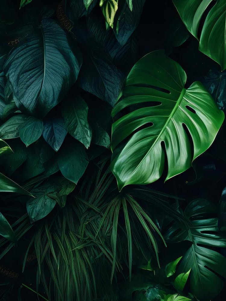 Kwy Close Up Photography Of The Texture Of A Lush Tropical Rain F8e61bc9 39ca 4250 90af A8828396bb05 1