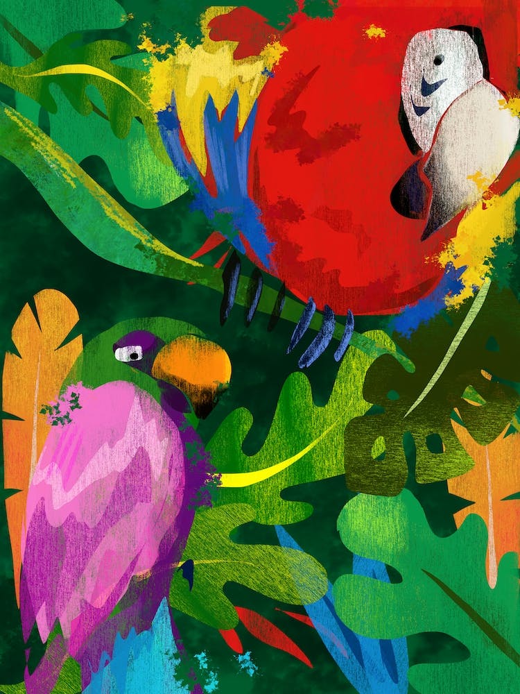 Perroquet de la Jungle