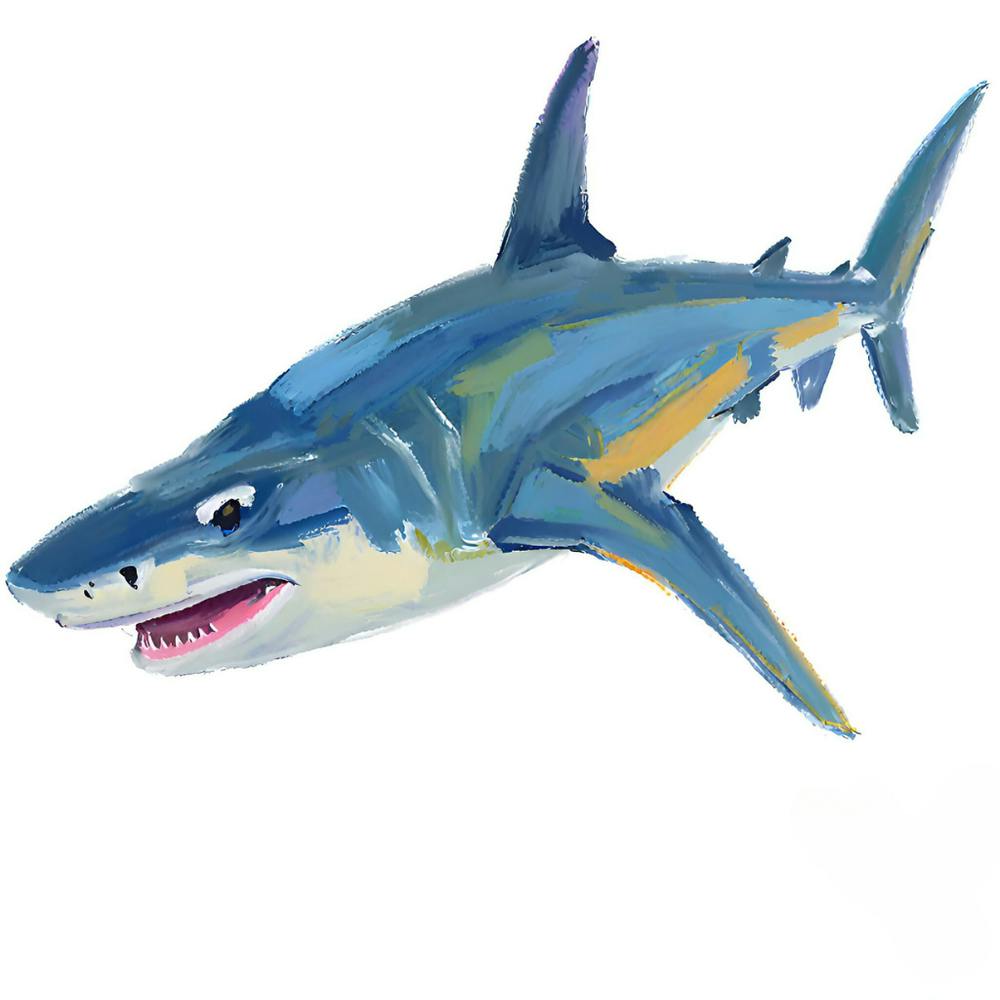 Hammerhead Shark 06
