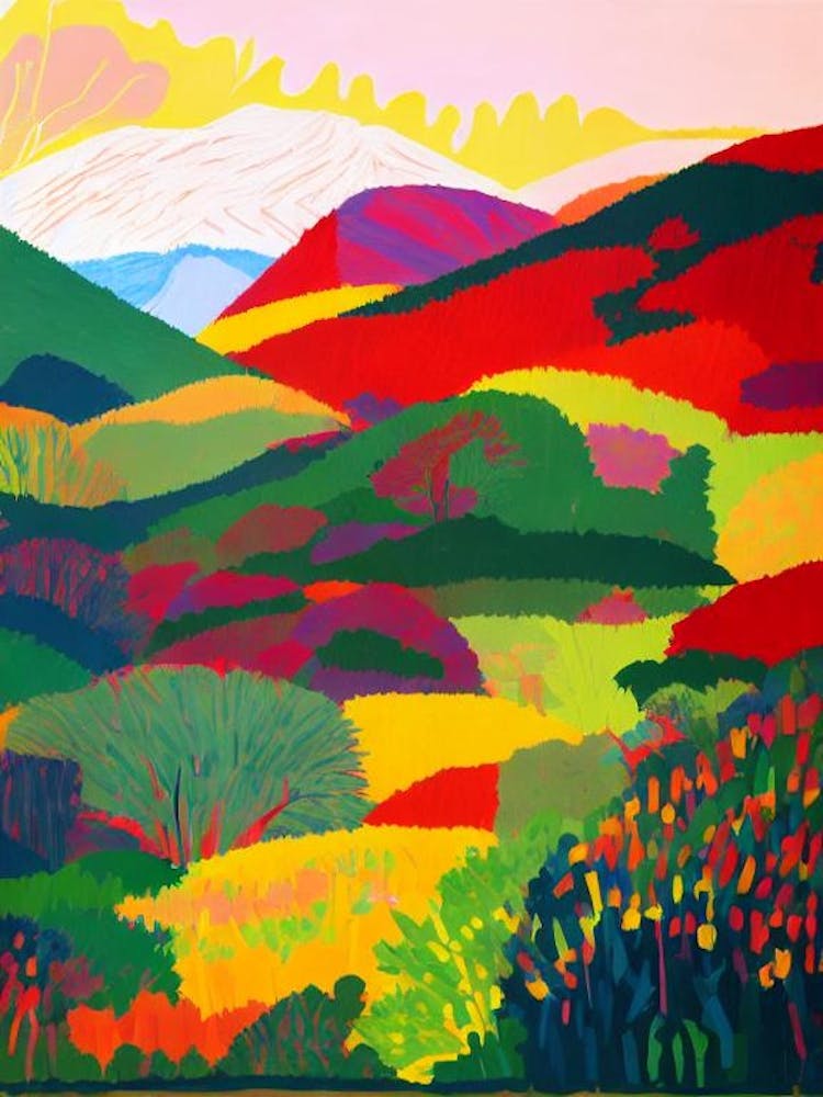 Amboró National Park Bolivia Abstract Colourful