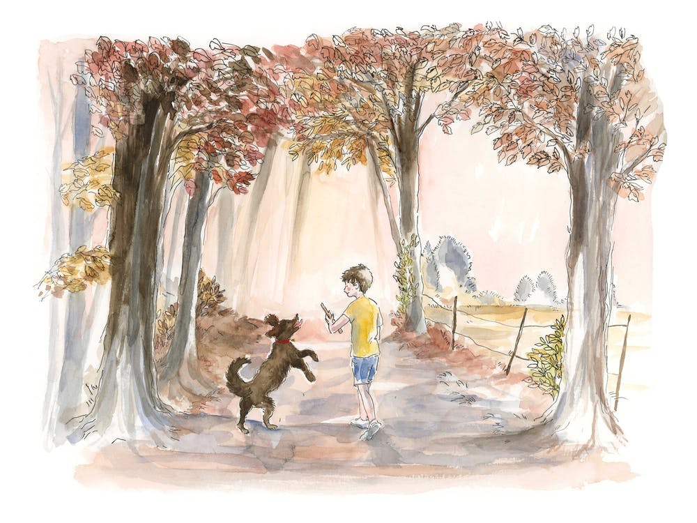 Promenade