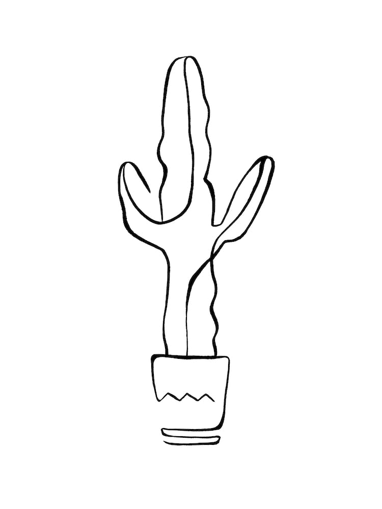 Minimal Cactus Plant