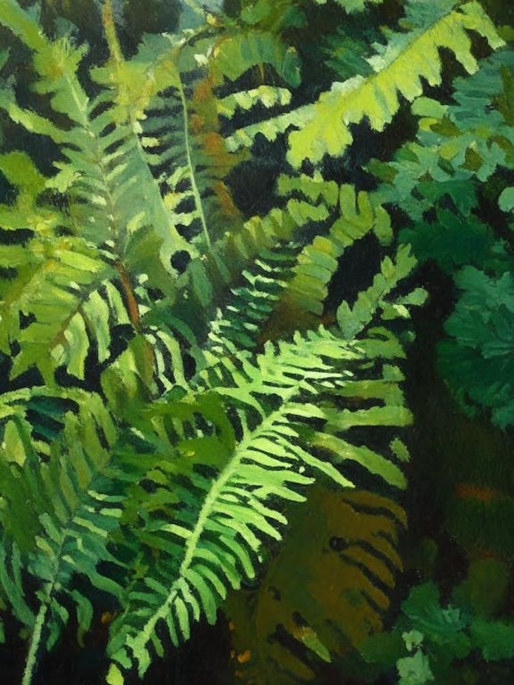 Polypodium Fern Cézanne Style