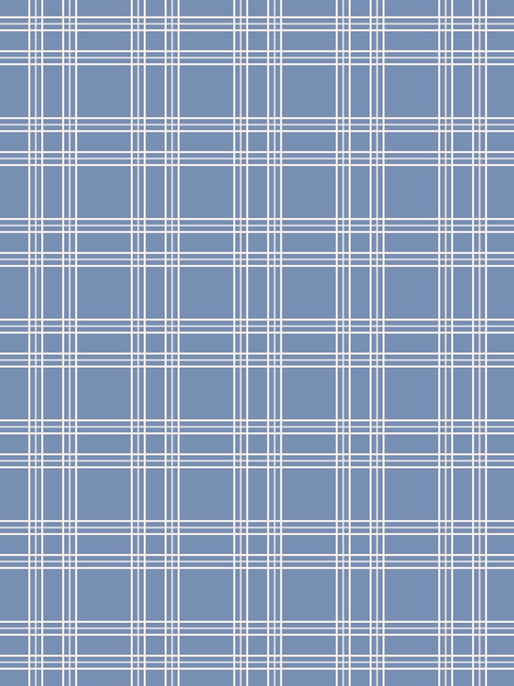 Blue Gingham