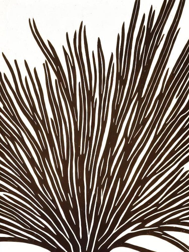 Acropora Nana Linocut