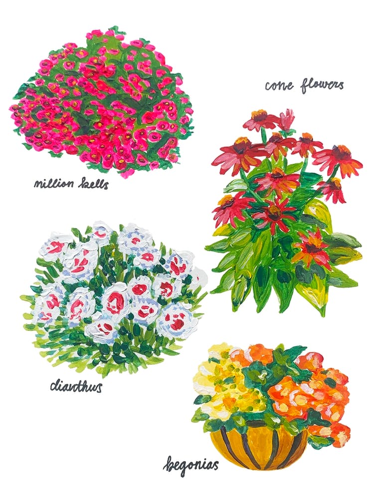Flowers