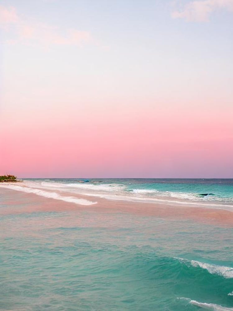 Bávaro Beach, Dominican Republic Pink Photography 1