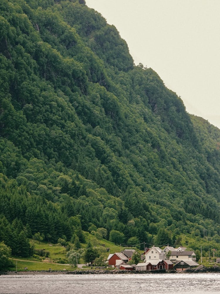 Norwegian Fjords