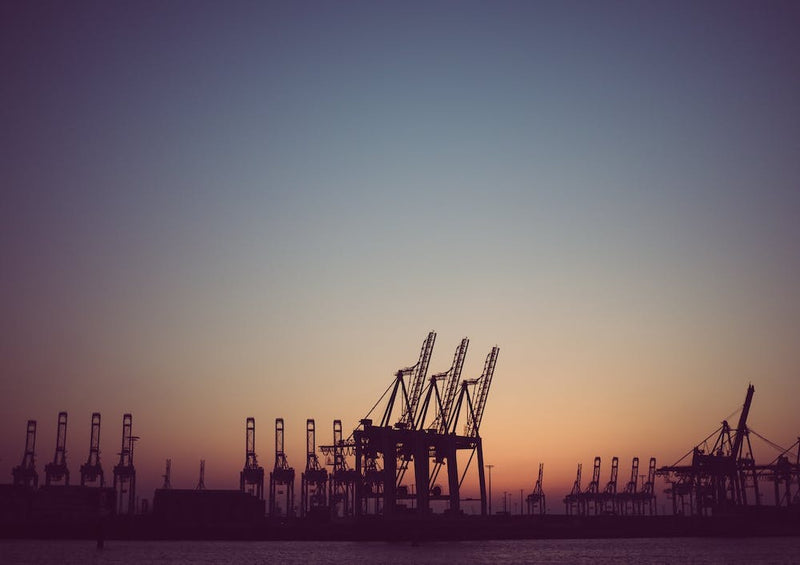 Harbour Giraffes 6