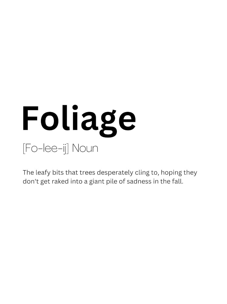 Foliage Definition Meaning 1