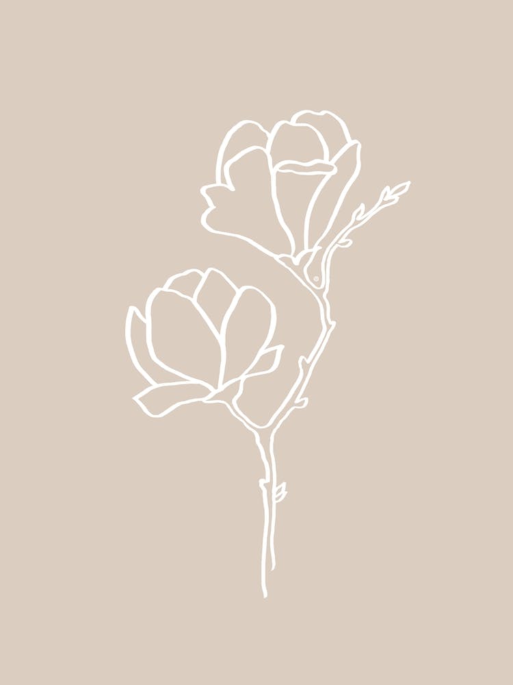 Line Art Magnolie Nr. 376