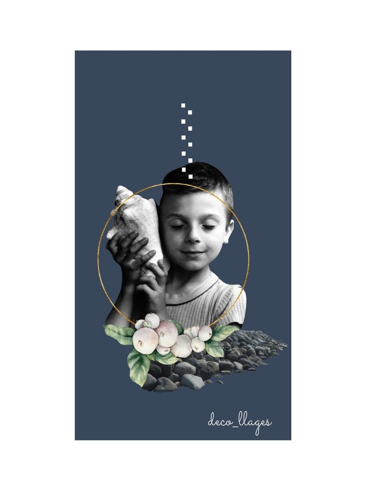 Coquillage 1