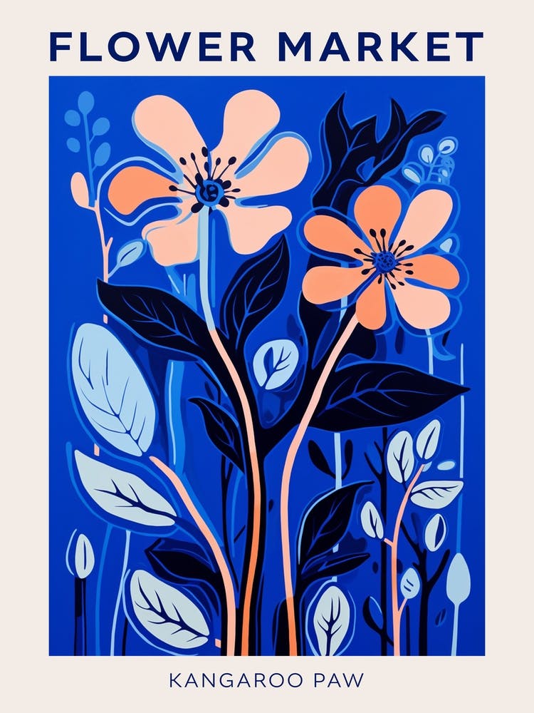 Blaues Blumenmarkt Poster Kangaroo Paw 3