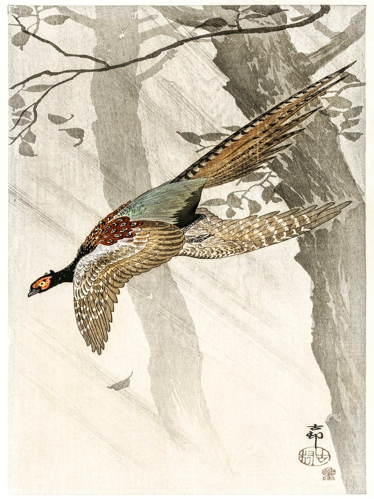 Flying Pheasant (1900 1910), Ohara Koson