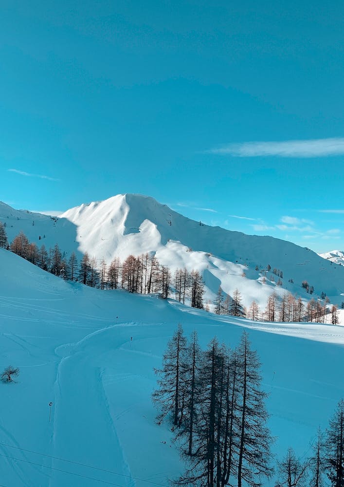 Ski Season