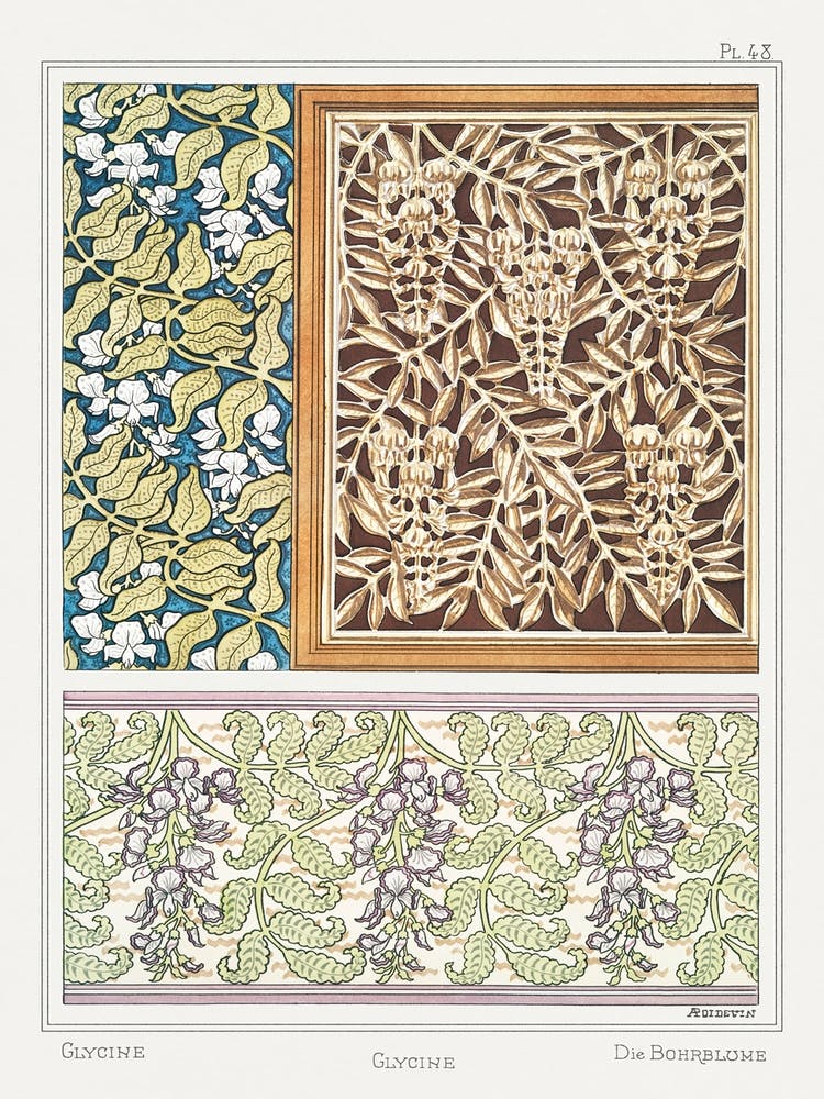 Glycine From The Plant And Its Ornamental Applications (1896 ), Maurice Pillard Verneuil 1