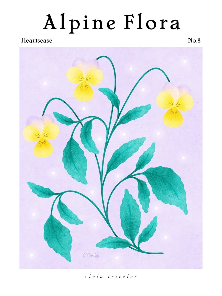 Alpine Flora Heartsease