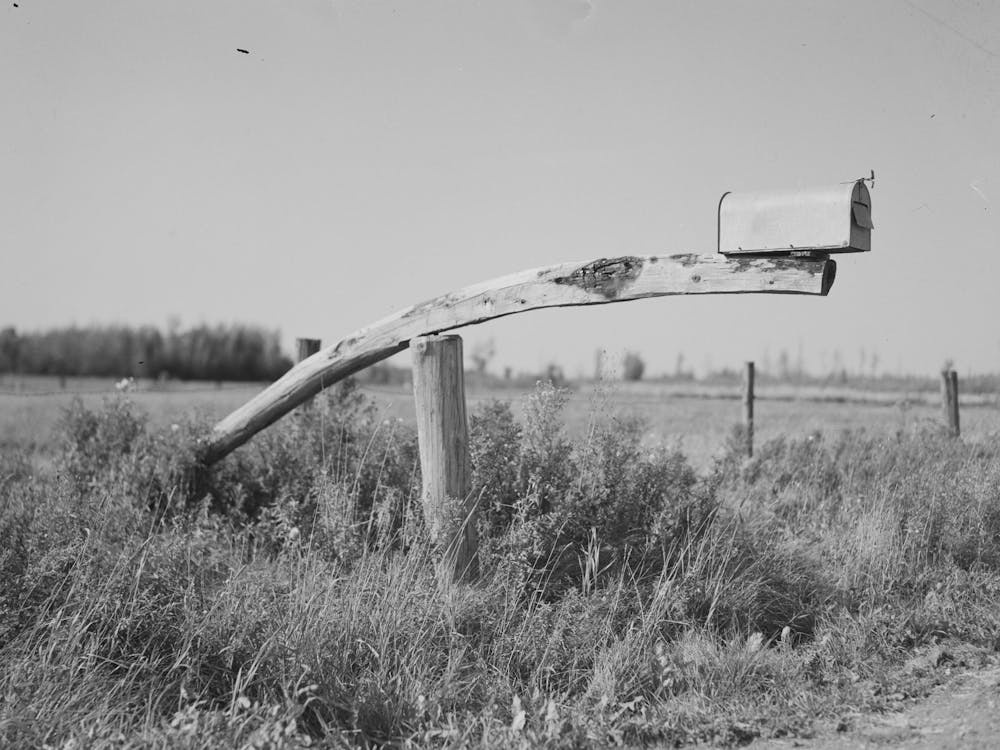 Mailbox On Farm Near Littlefork, Minnesota By Russell Lee