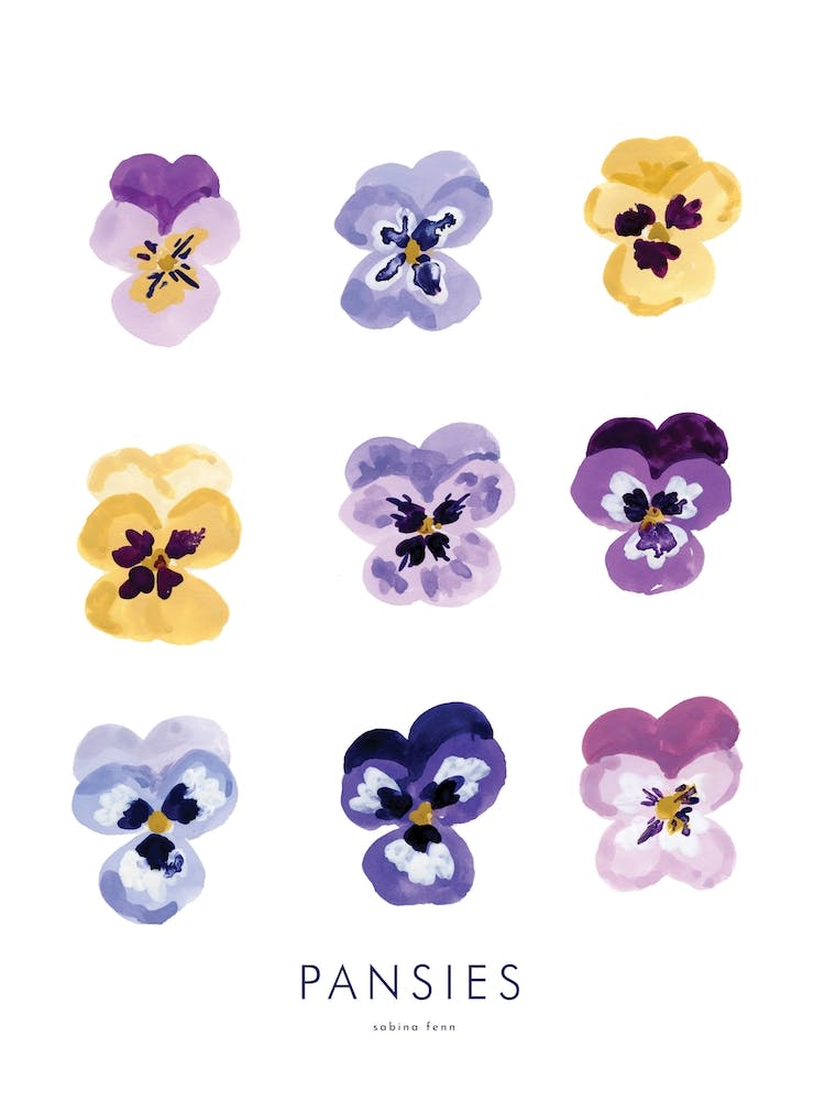 Pansies