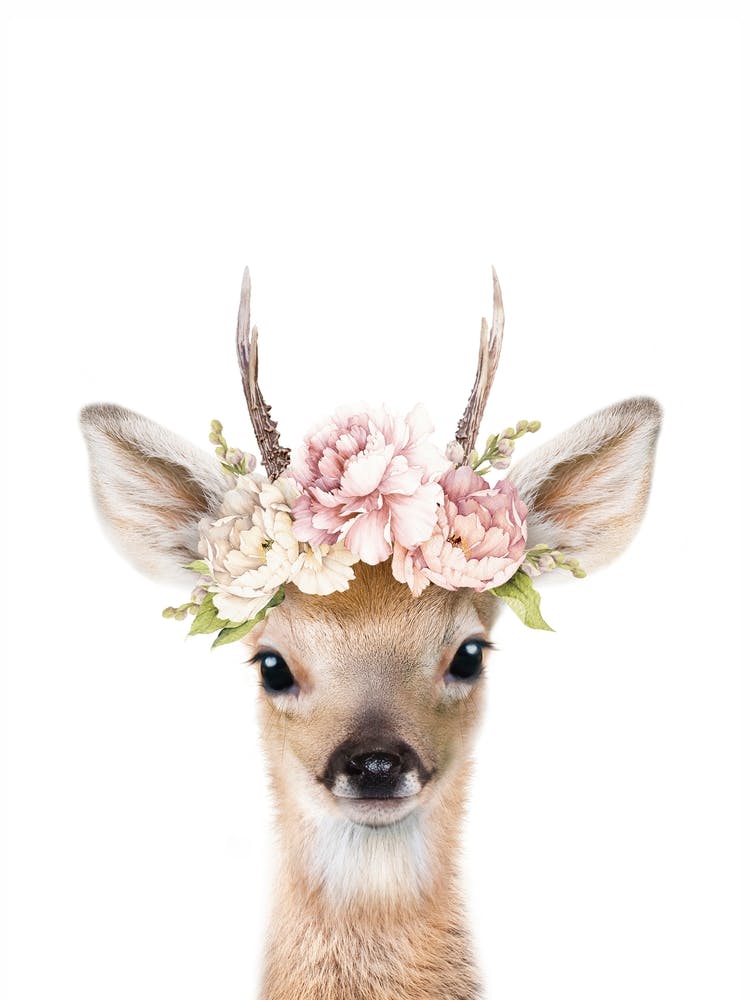 Peekaboo Floral Deer