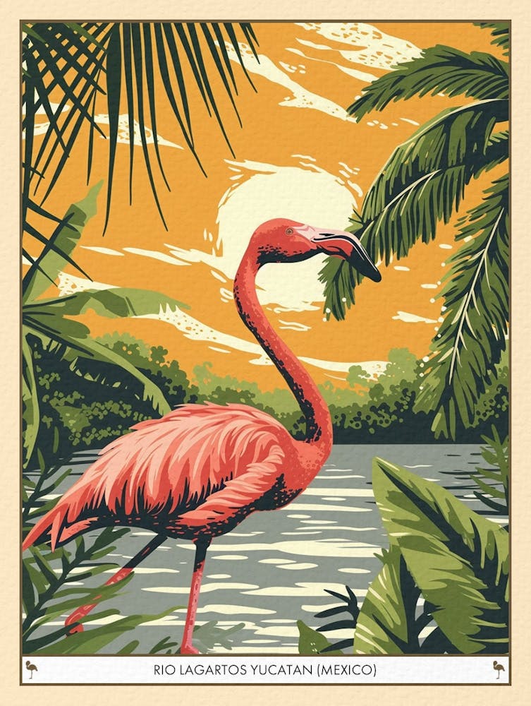 Greater Flamingo Rio Lagartos Yucatan Mexico Tropical Illustration 1 Poster