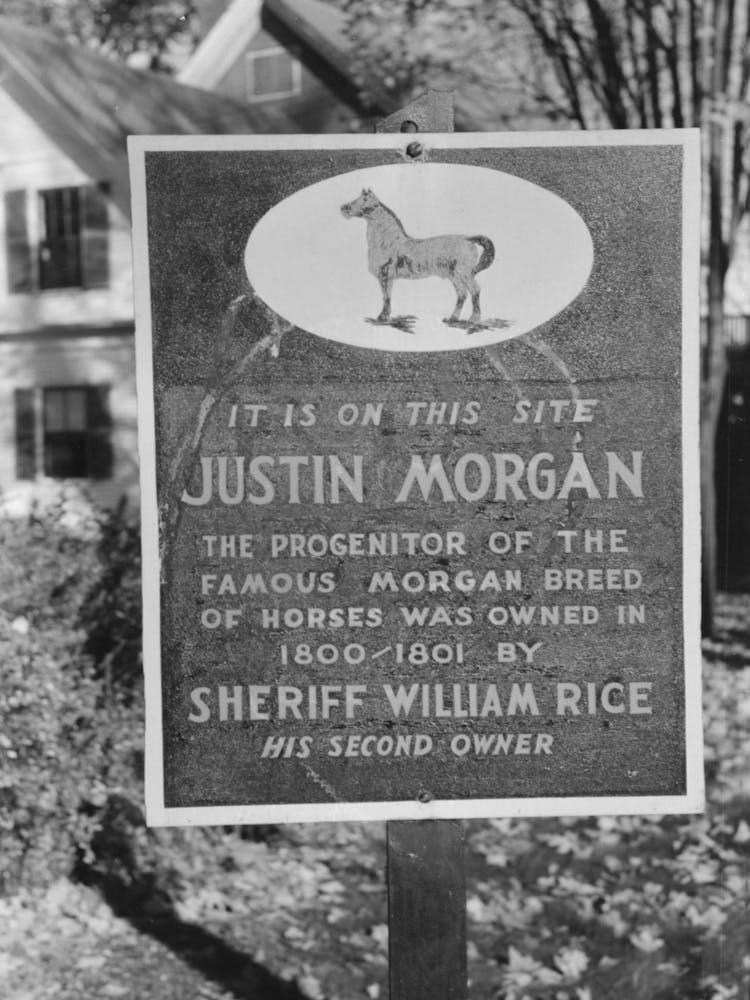 Sign, Woodstock, Vermont By Russell Lee