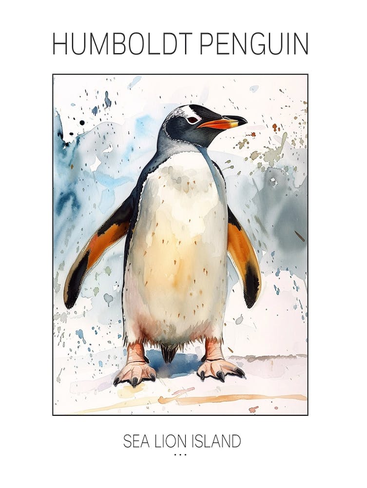 Humboldt Penguin Sea Lion Island Watercolour Painting 2 Poster