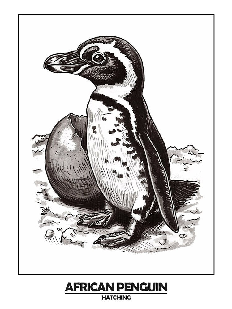 Penguin Hatching Poster 2