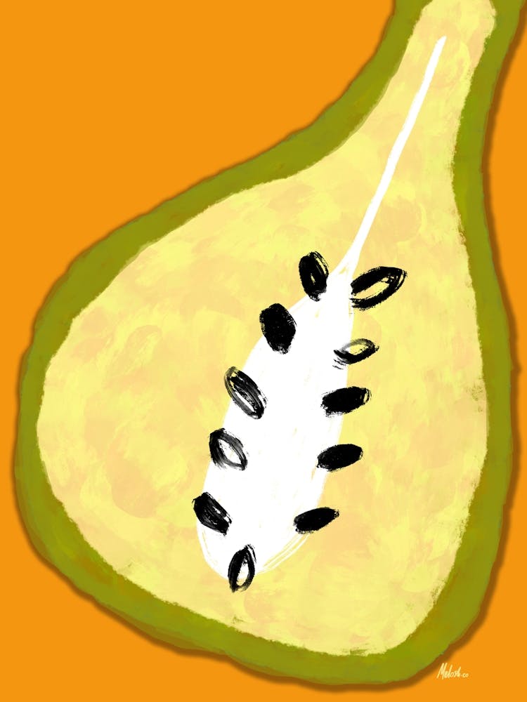 Pear Fruit - Artwork 1
