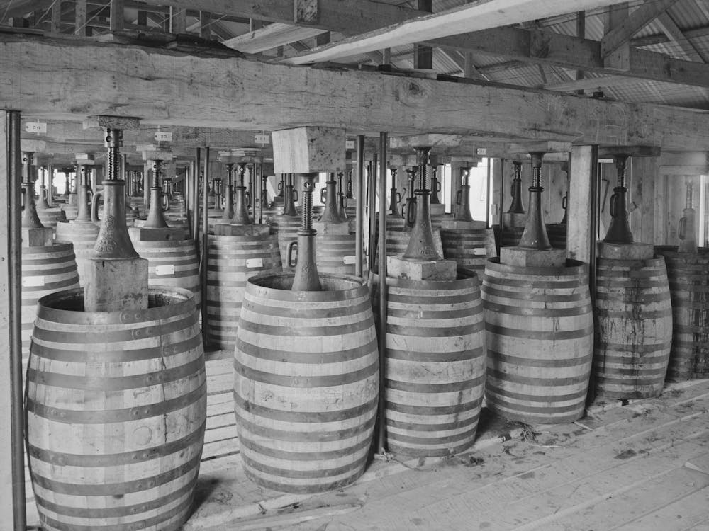 Barrels Of Perique Tobacco During Process Of Aging, Perique Tobacco Is Raised In One Parish In Louisiana, And