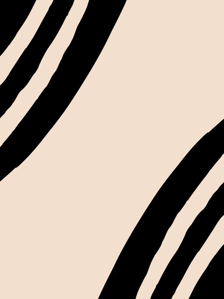 Zebra Stripes 23