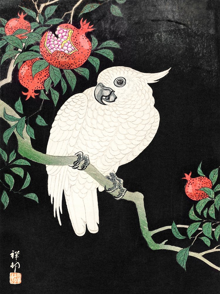 Cockatoo And Pomegranate, Ohara Koson