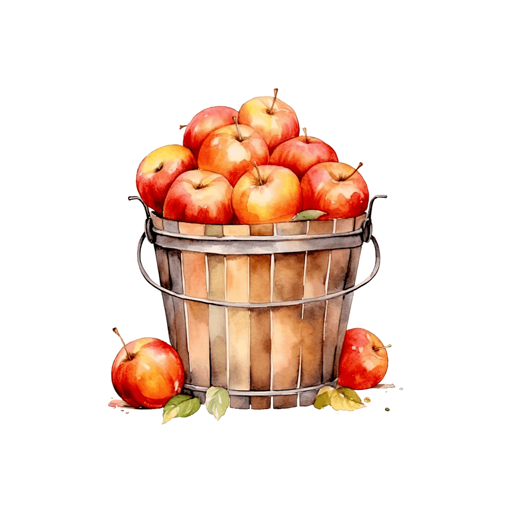 Apples In A Bucket 7