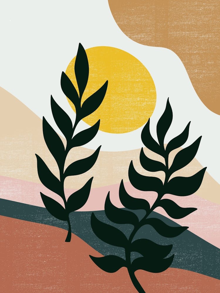 Two Ferns