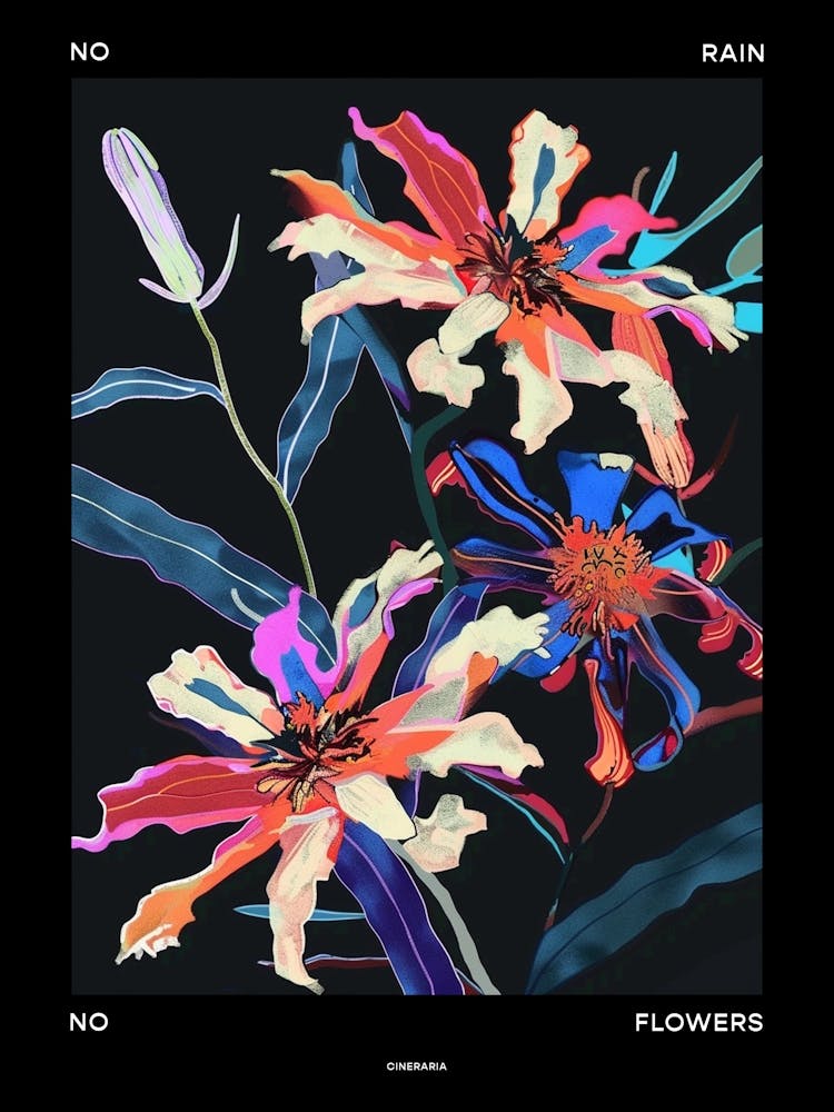 No Rain No Flowers Poster Cineraria 5