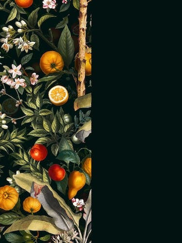 Vintage Fruit Pattern 22