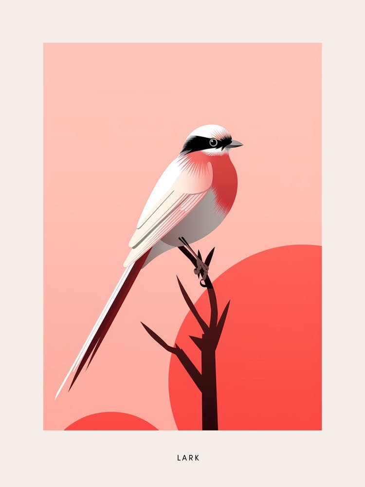 Minimalist Lark 3 Bird Poster