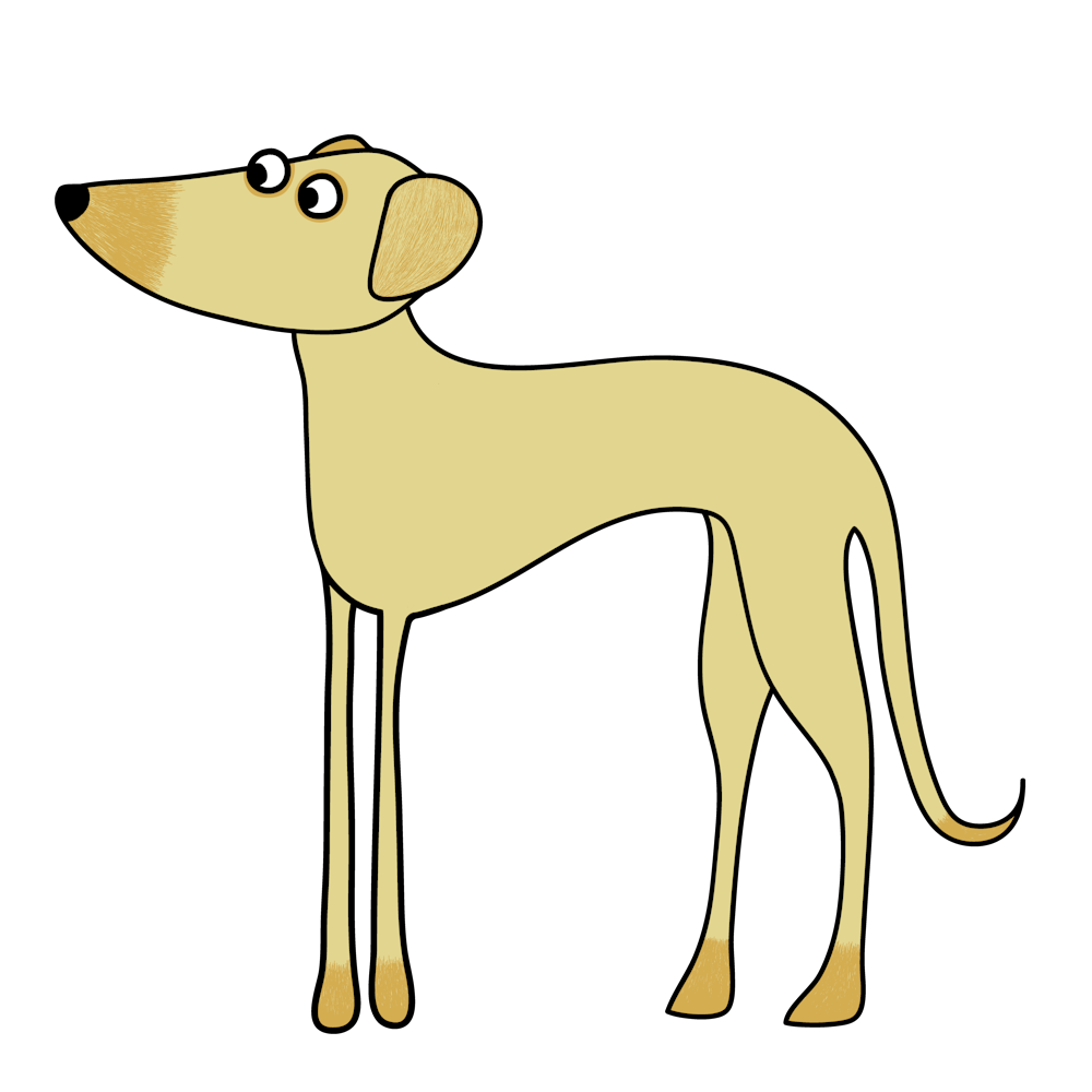 Greyhound Dog