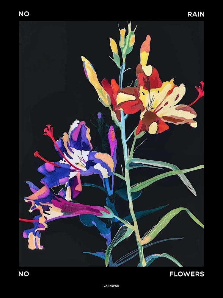 Kein Regen Keine Blumen Poster Rittersporn 1