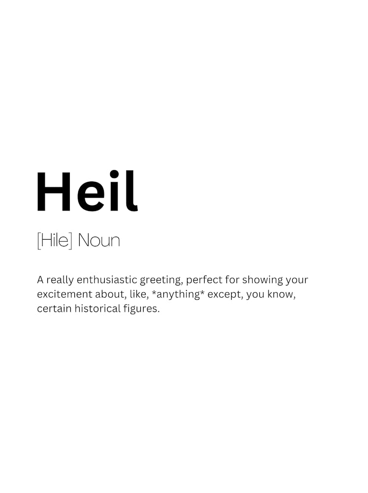 Heil Definition Meaning 1