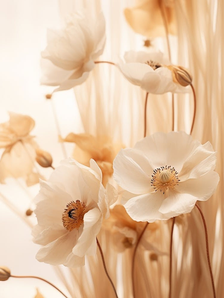 Boho Dried Flowers Anemone 3