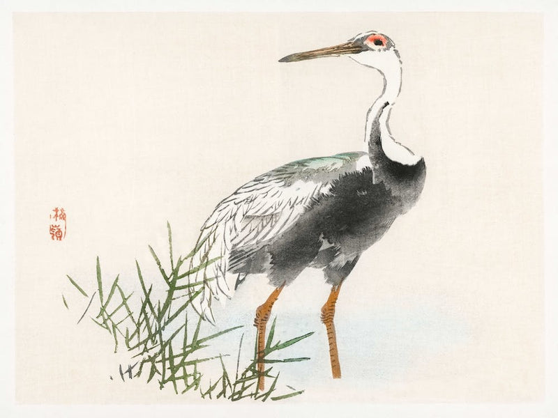 Crane