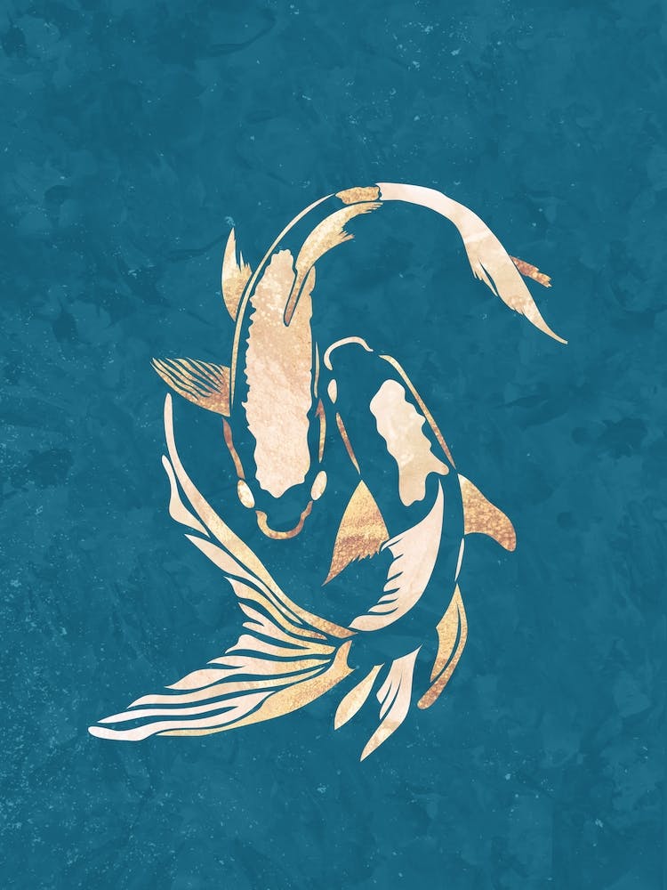 Koi Fish Canvas Print 1