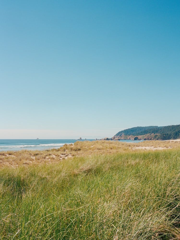 Cannon Beach VII on Film