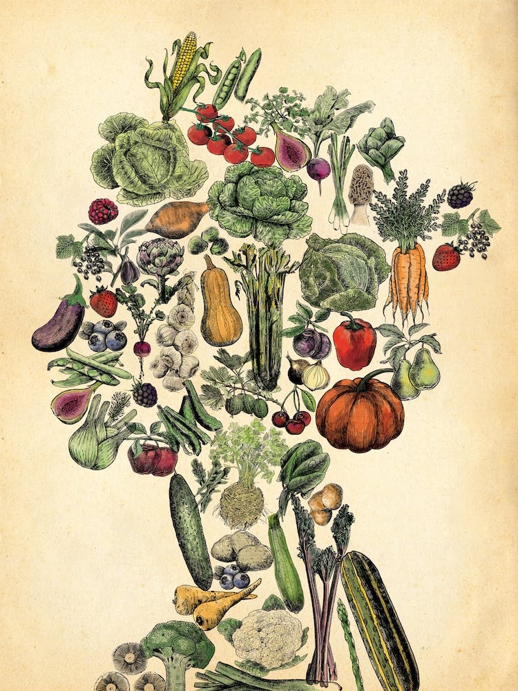 Queen Elizabeth In Vegetables