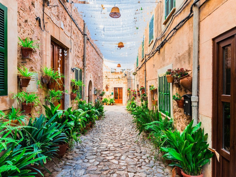 Old village Valldemossa on Mallorca, Spain Balearic islands. This romantic street is a famous landmark that depicts the rich history and Mediterranean culture of the town. The narrow alley is brimming with charming potted plants and flowers, adding to the