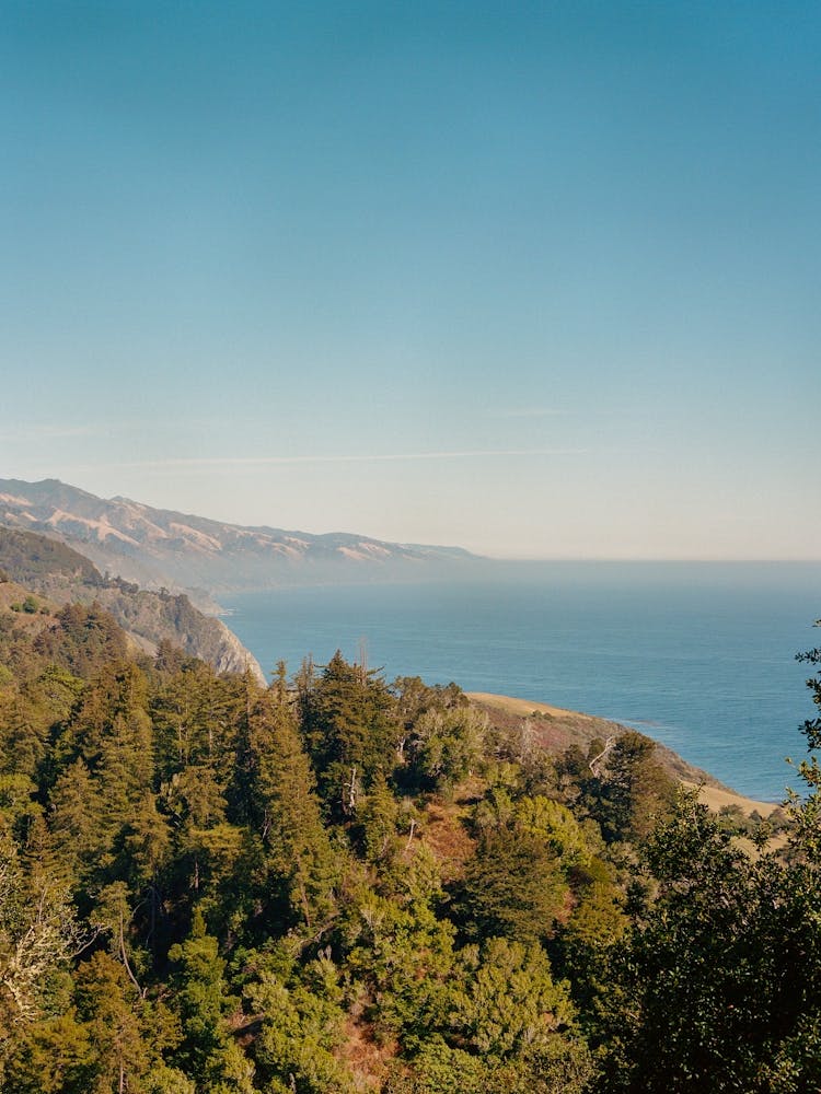 Big Sur III on Film