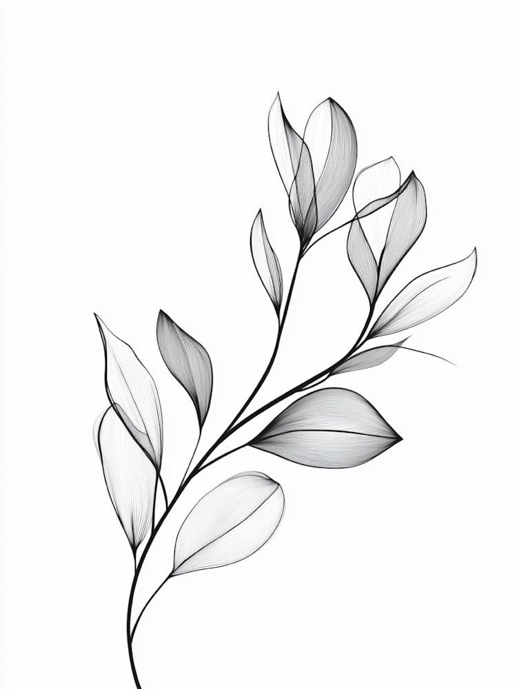 Black And White Drawing Of Leaves 1