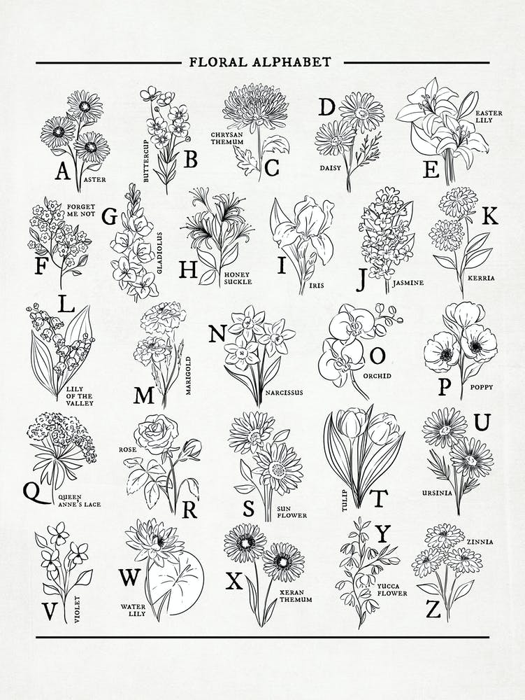 Floral Alphabet Black & White Sketch